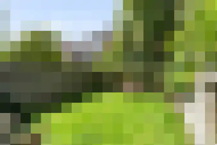 Hof van Delftlaan 22 Delft thumbnail 22