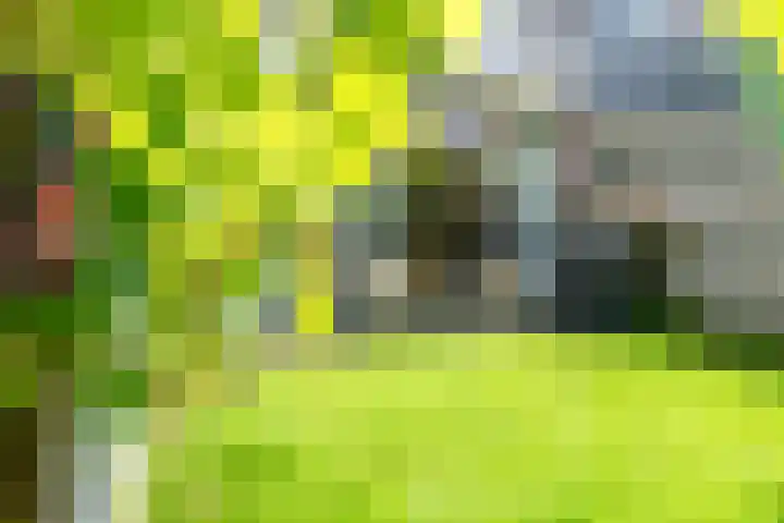 Hof van Delftlaan 22 Delft thumbnail 25