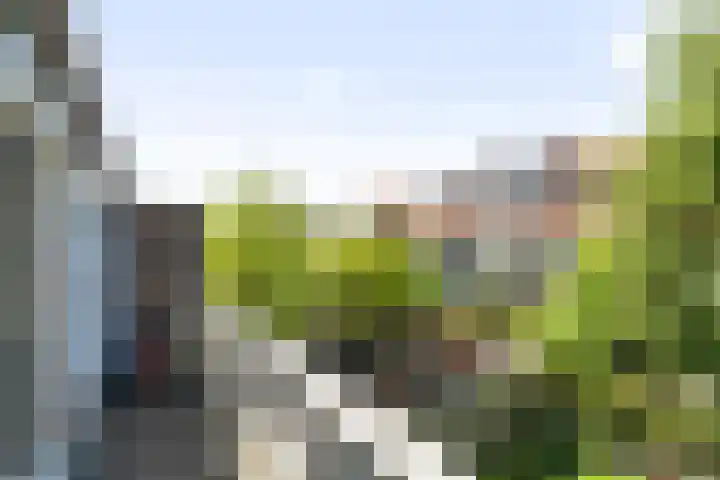 Hof van Delftlaan 22 Delft thumbnail 39