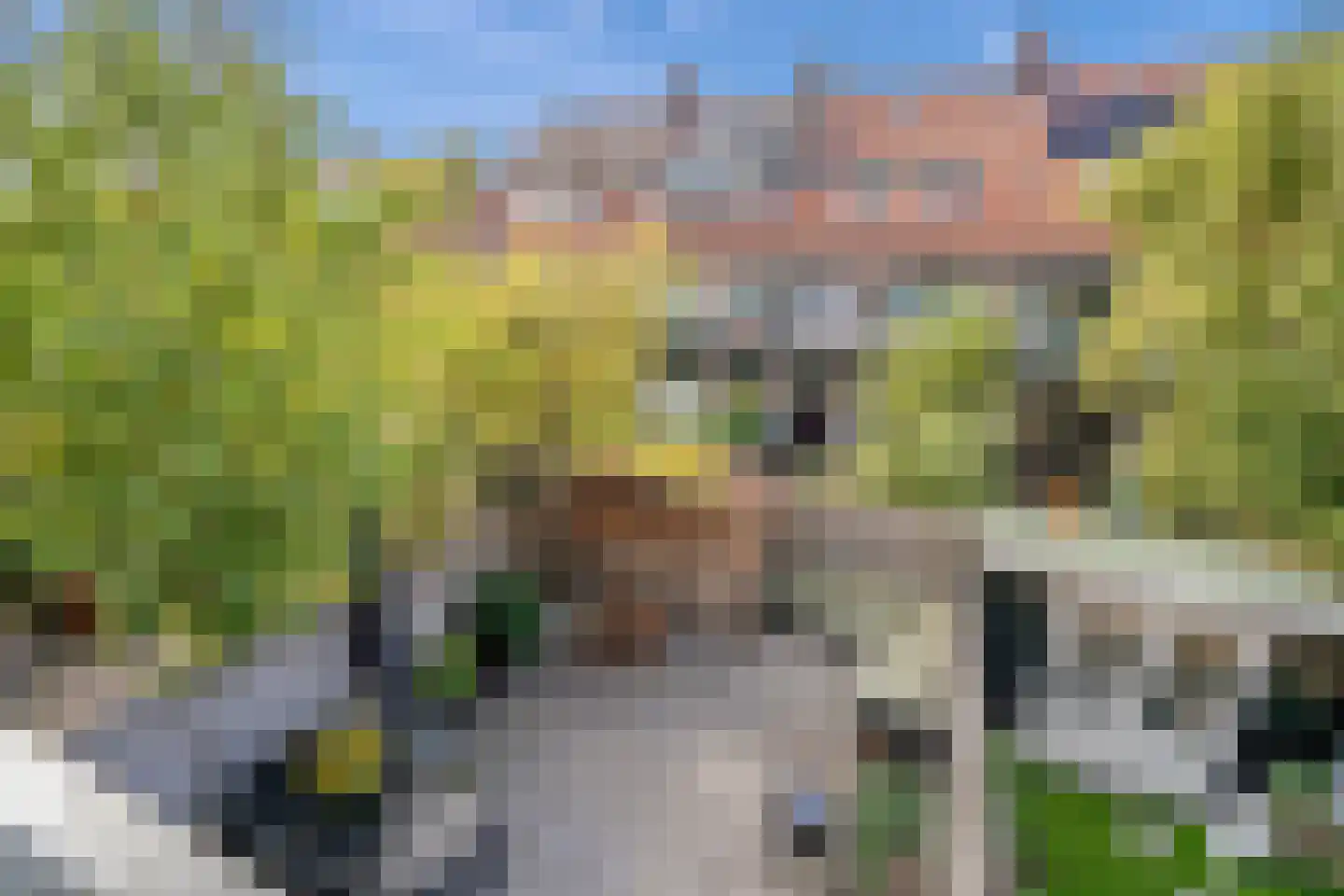 Hof van Delftlaan 24 Delft thumbnail 33