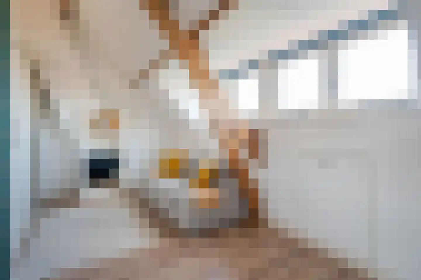 Hof van Delftlaan 24 Delft thumbnail 42