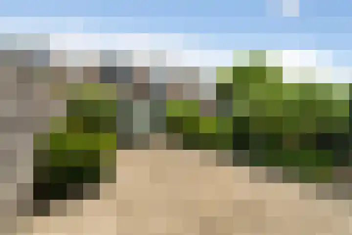 Hof van Delftlaan 27 Delft thumbnail 14