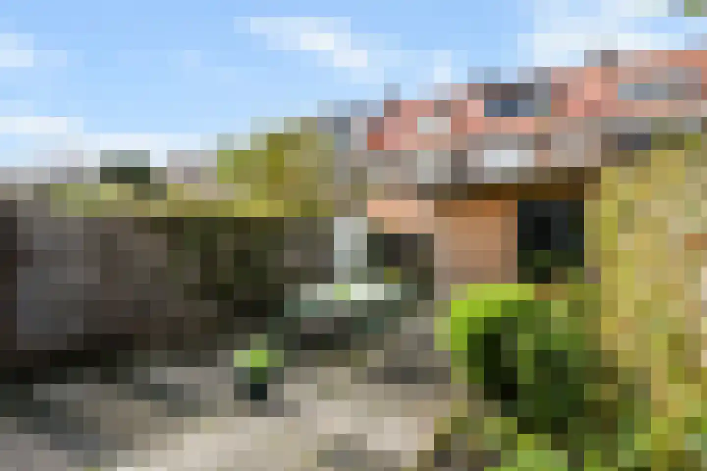 Hof van Delftlaan 42 Delft thumbnail 19