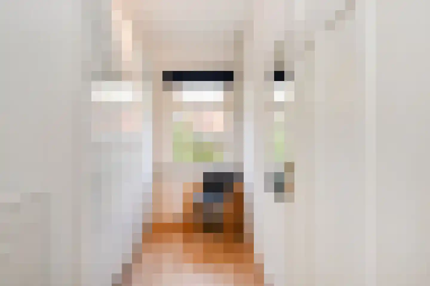 Hof van Delftlaan 42 Delft thumbnail 28