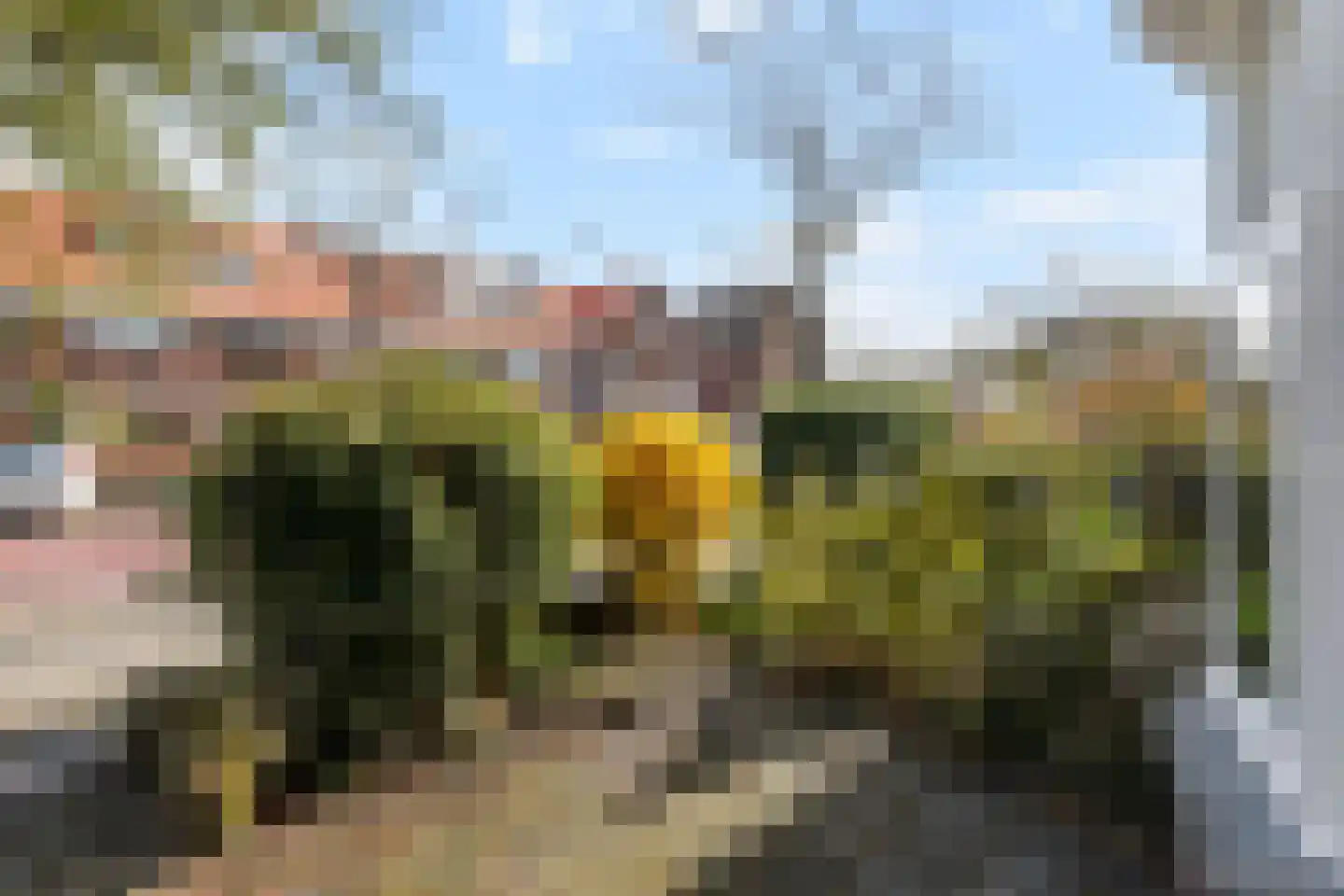 Hof van Delftlaan 42 Delft thumbnail 44