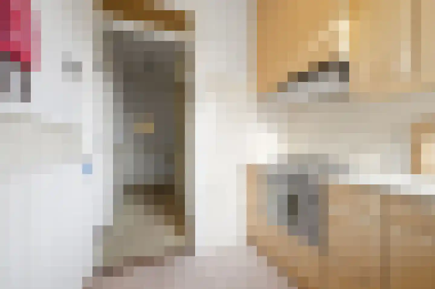 Hof van Delftlaan 66 Delft thumbnail 12