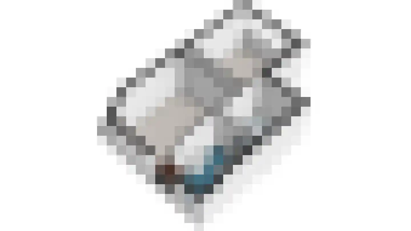 Hof van Delftlaan 66 Delft thumbnail 34