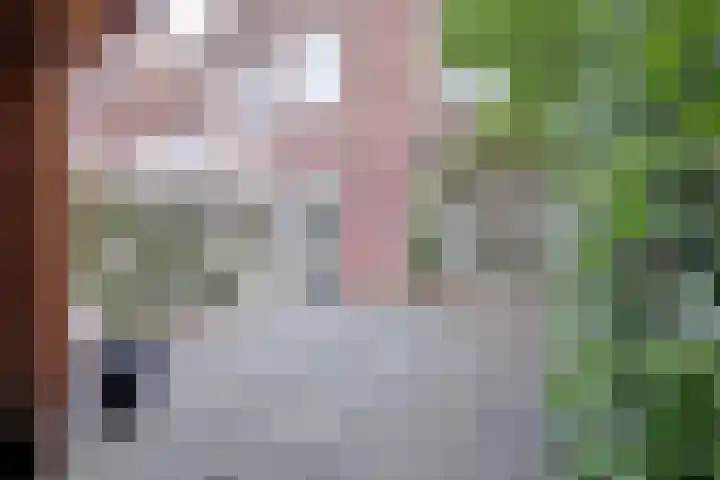 Hof van Delftlaan 68 Delft thumbnail 21