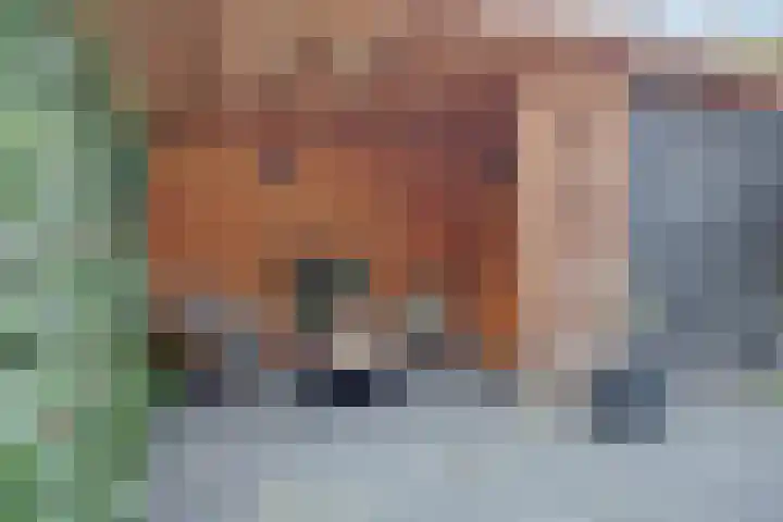 Hof van Delftlaan 68 Delft thumbnail 23