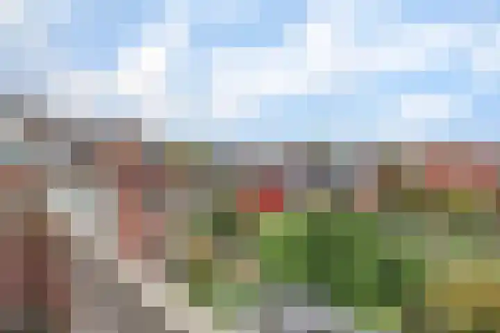 Hof van Delftlaan 68 Delft thumbnail 31