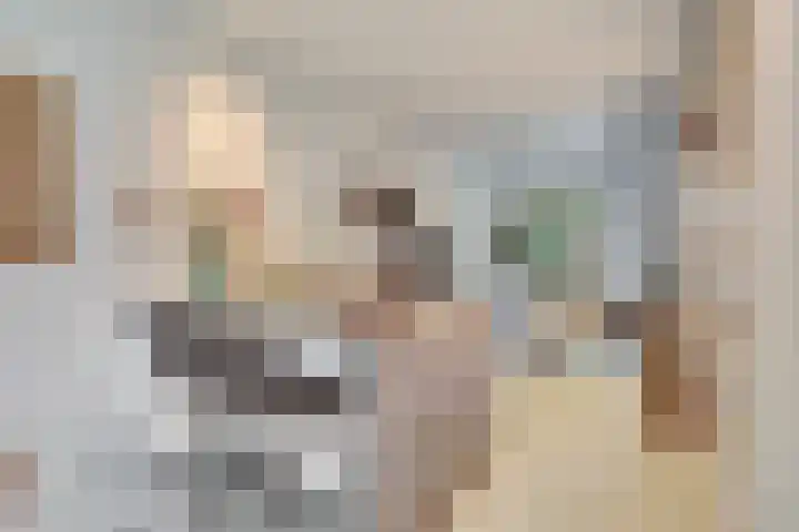 Hof van Delftlaan 68 Delft thumbnail 8