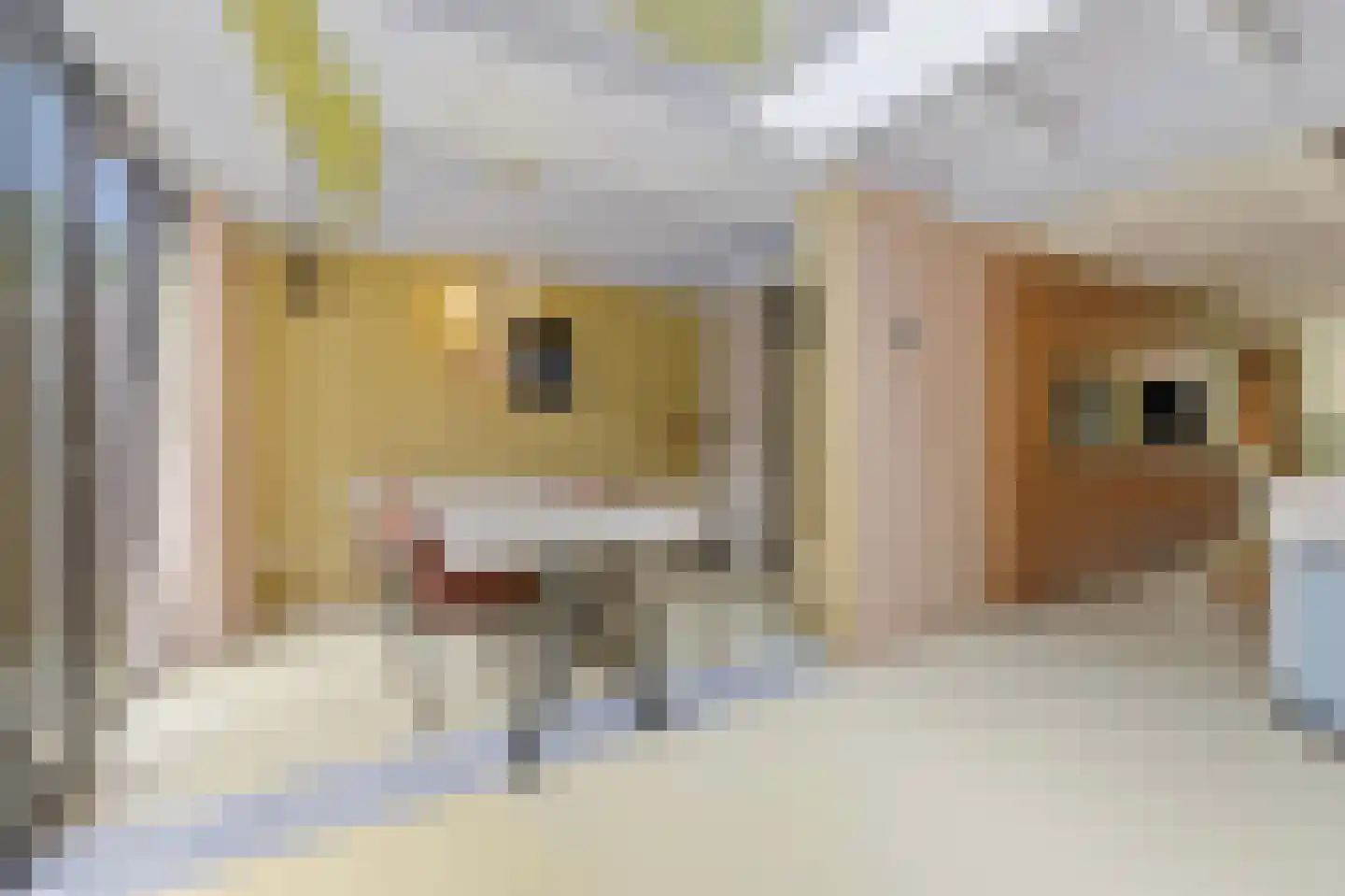 Hof van Delftlaan 7 Delft thumbnail 17