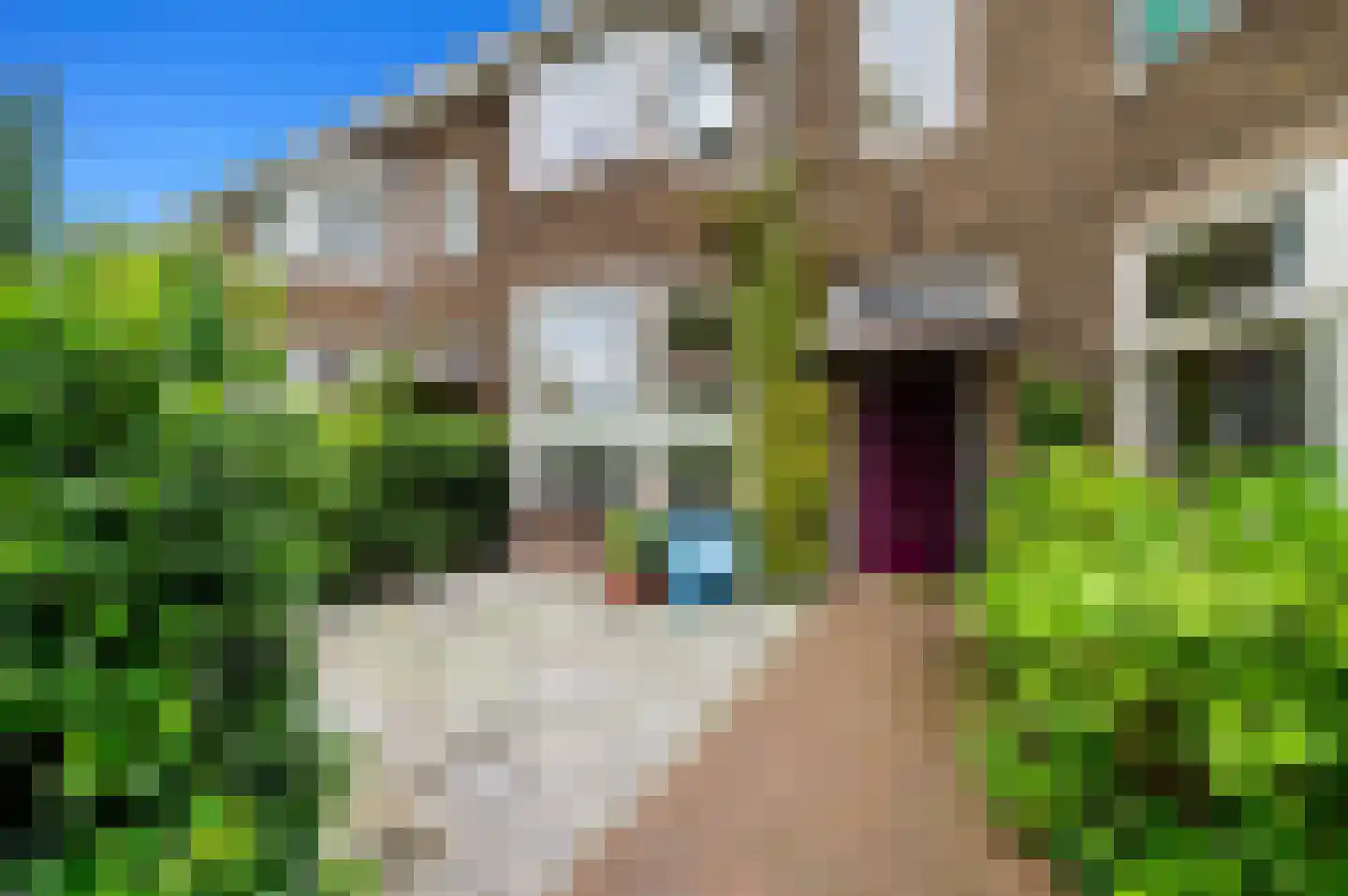 Hof van Delftlaan 7 Delft thumbnail 4