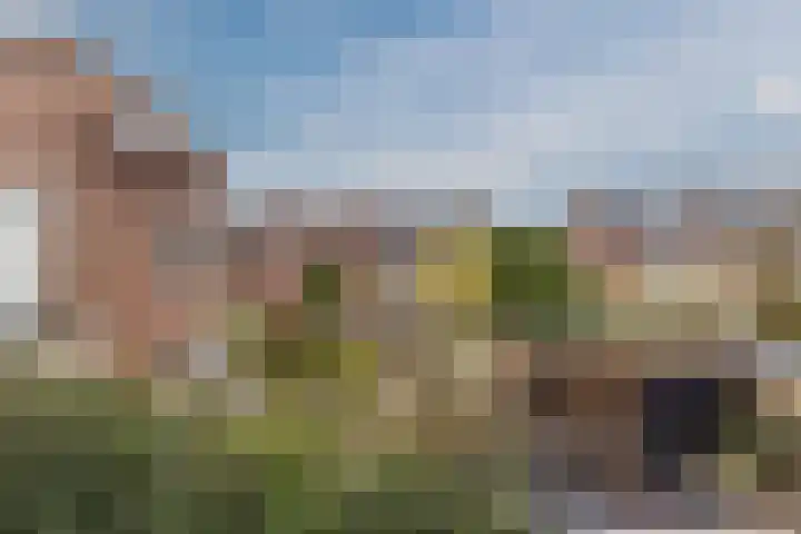 Hof van Delftlaan 72 Delft thumbnail 29