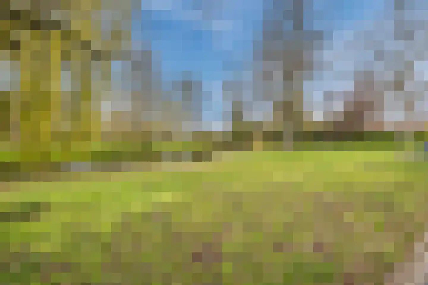 Hof van Delftlaan 72 Delft thumbnail 33