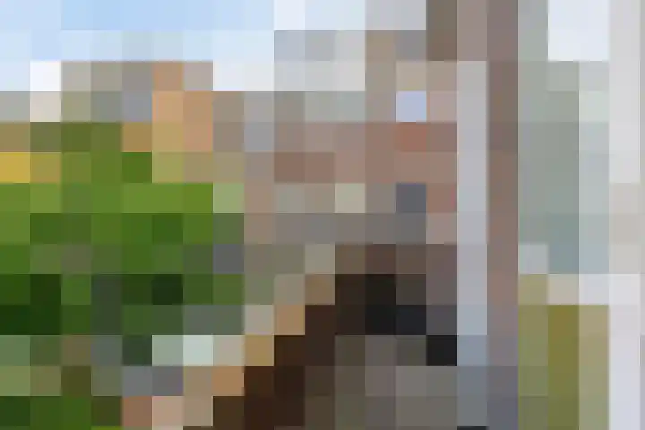 Hof van Delftlaan 78 Delft thumbnail 5