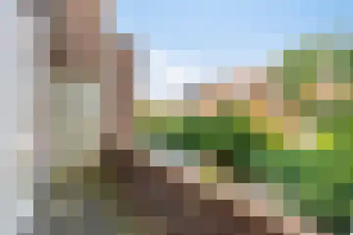 Hof van Delftlaan 78 Delft thumbnail 6