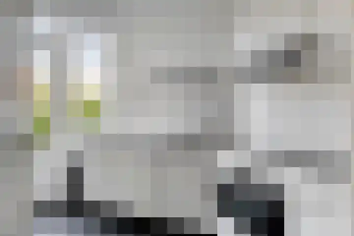 Hof van Delftlaan 78 Delft thumbnail 9