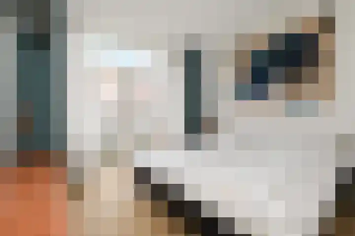 Hof van Delftlaan 8 Delft thumbnail 34