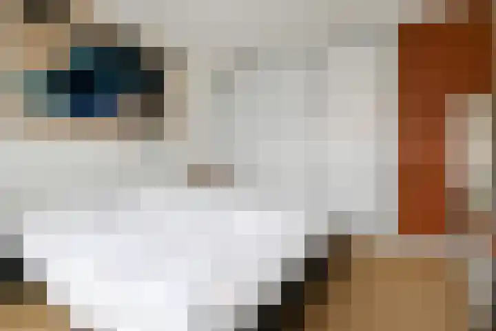 Hof van Delftlaan 8 Delft thumbnail 35