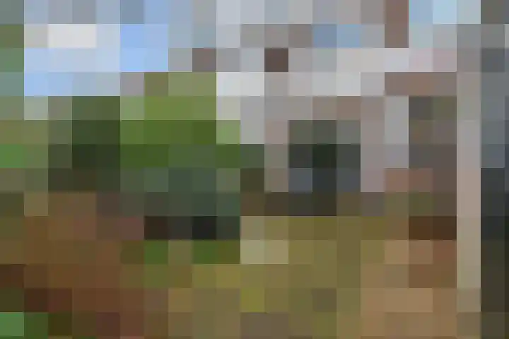 Hof van Delftlaan 8 Delft thumbnail 59