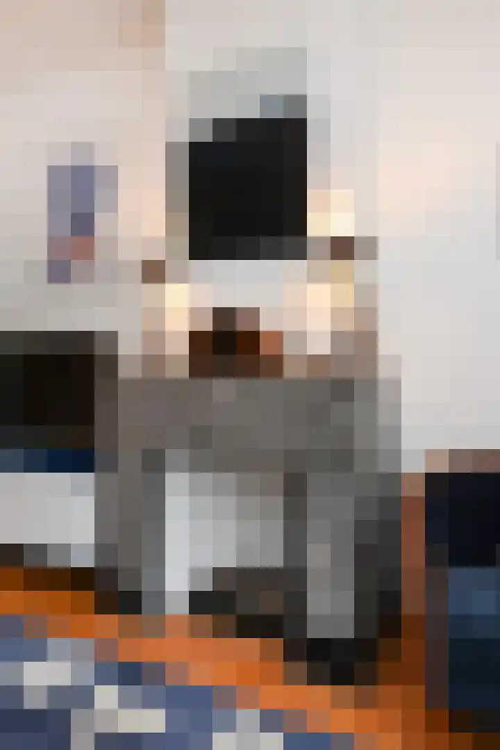 Hof van Delftlaan 8 Delft thumbnail 9
