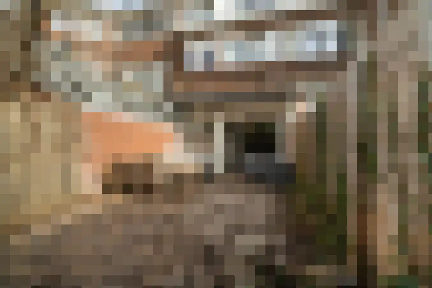 Hof van Delftlaan 80 Delft thumbnail 18
