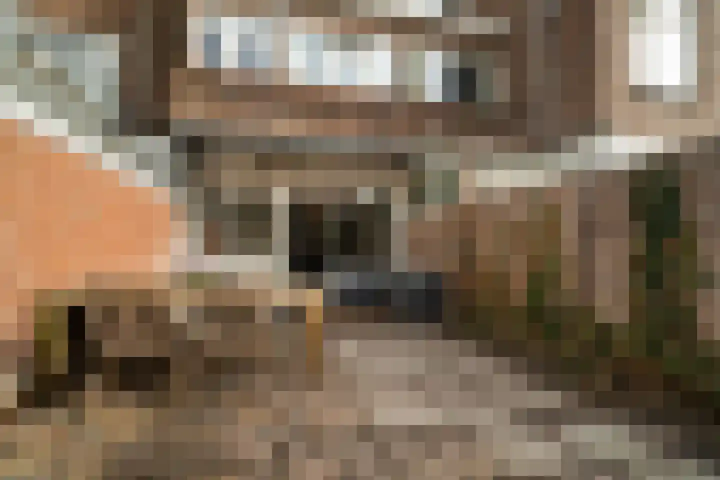 Hof van Delftlaan 80 Delft thumbnail 19