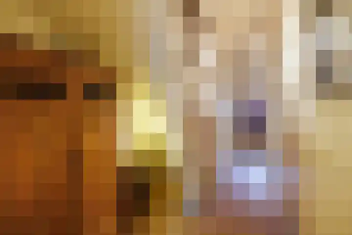 Hof van Delftlaan 88 Delft thumbnail 4