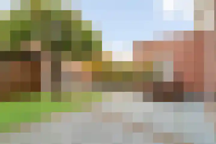 Hof van Delftstraat 30 Den Hoorn thumbnail 24