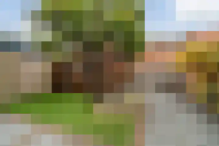 Hof van Delftstraat 30 Den Hoorn thumbnail 25