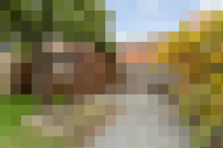 Hof van Delftstraat 30 Den Hoorn thumbnail 26