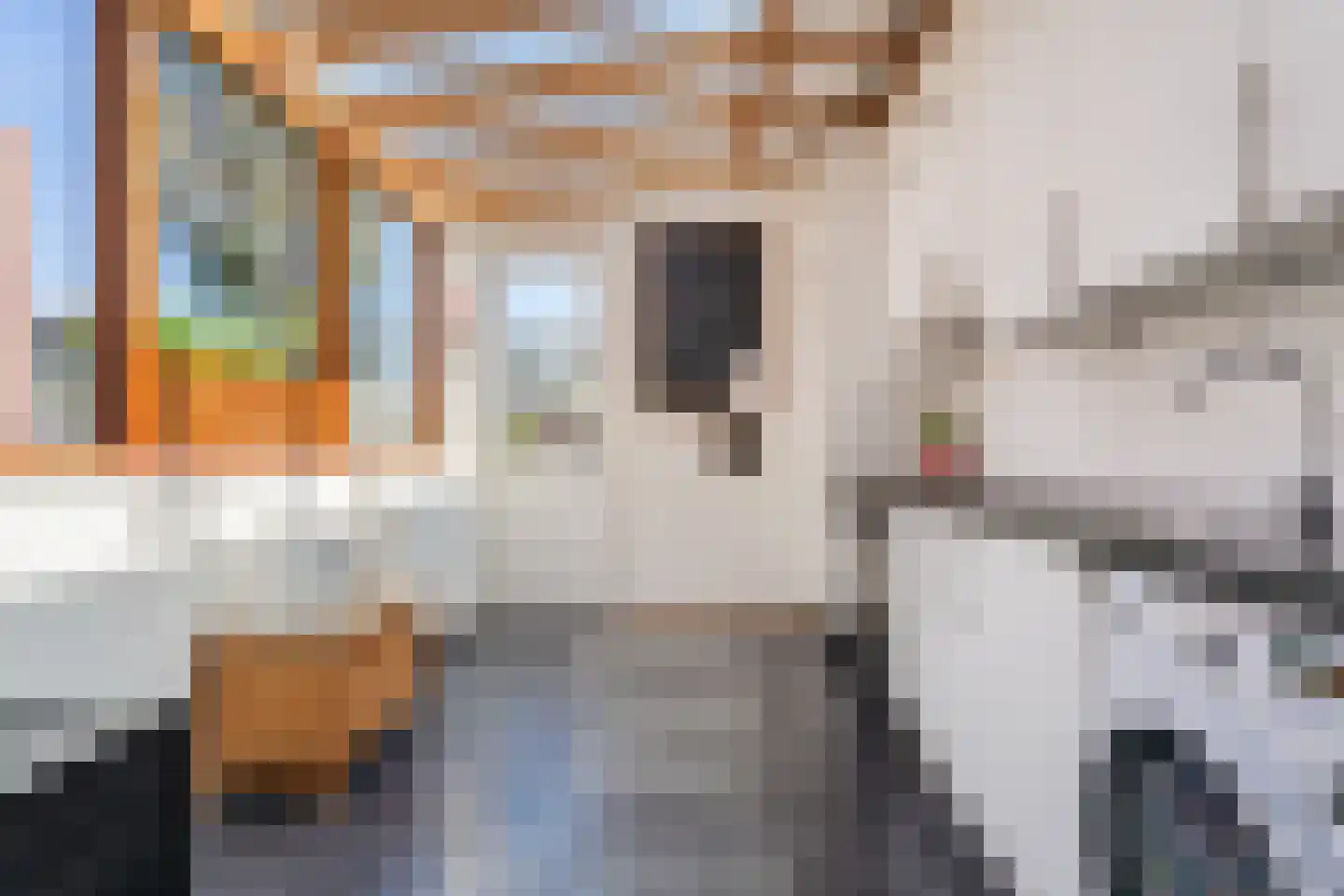 Hof van Delftstraat 31 Den Hoorn thumbnail 4