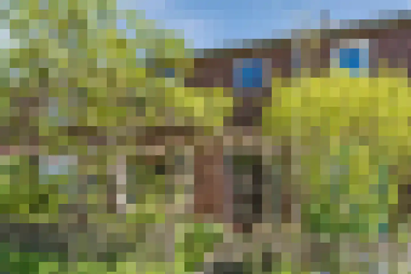 Hof van Delftstraat 31 Den Hoorn thumbnail 8