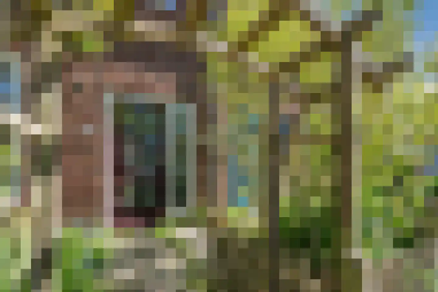 Hof van Delftstraat 31 Den Hoorn thumbnail 9