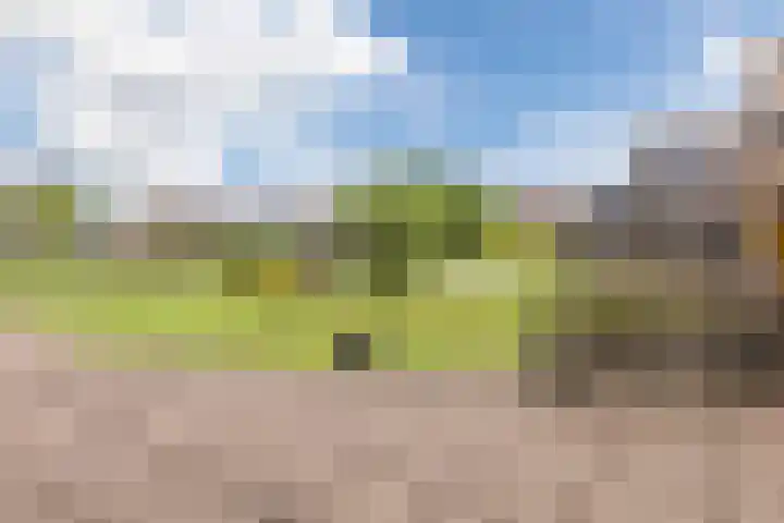 Hof van den Houte 128 Etten-Leur thumbnail 27