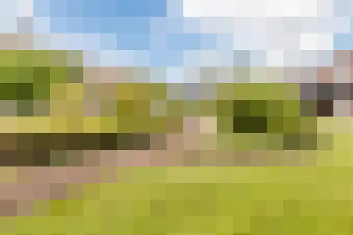 Hof van den Houte 128 Etten-Leur thumbnail 28