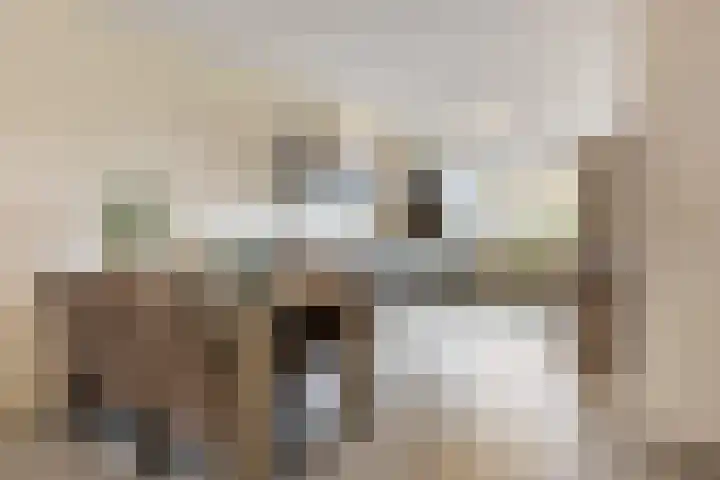 Hof van den Houte 128 Etten-Leur thumbnail 6