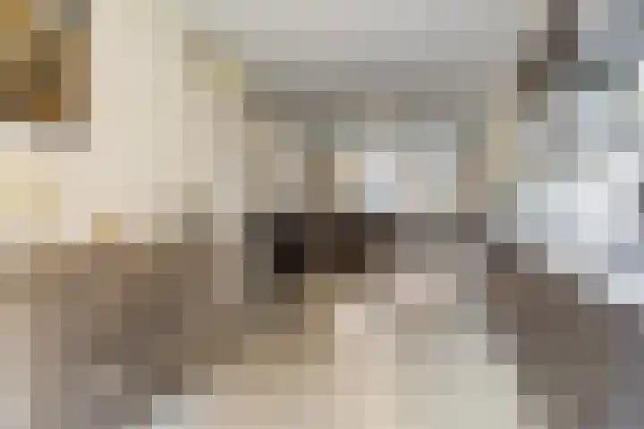 Hof van den Houte 128 Etten-Leur thumbnail 7