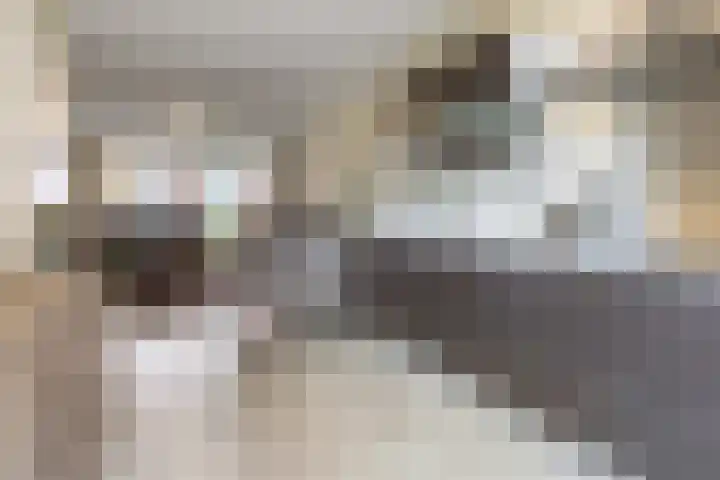 Hof van den Houte 128 Etten-Leur thumbnail 8