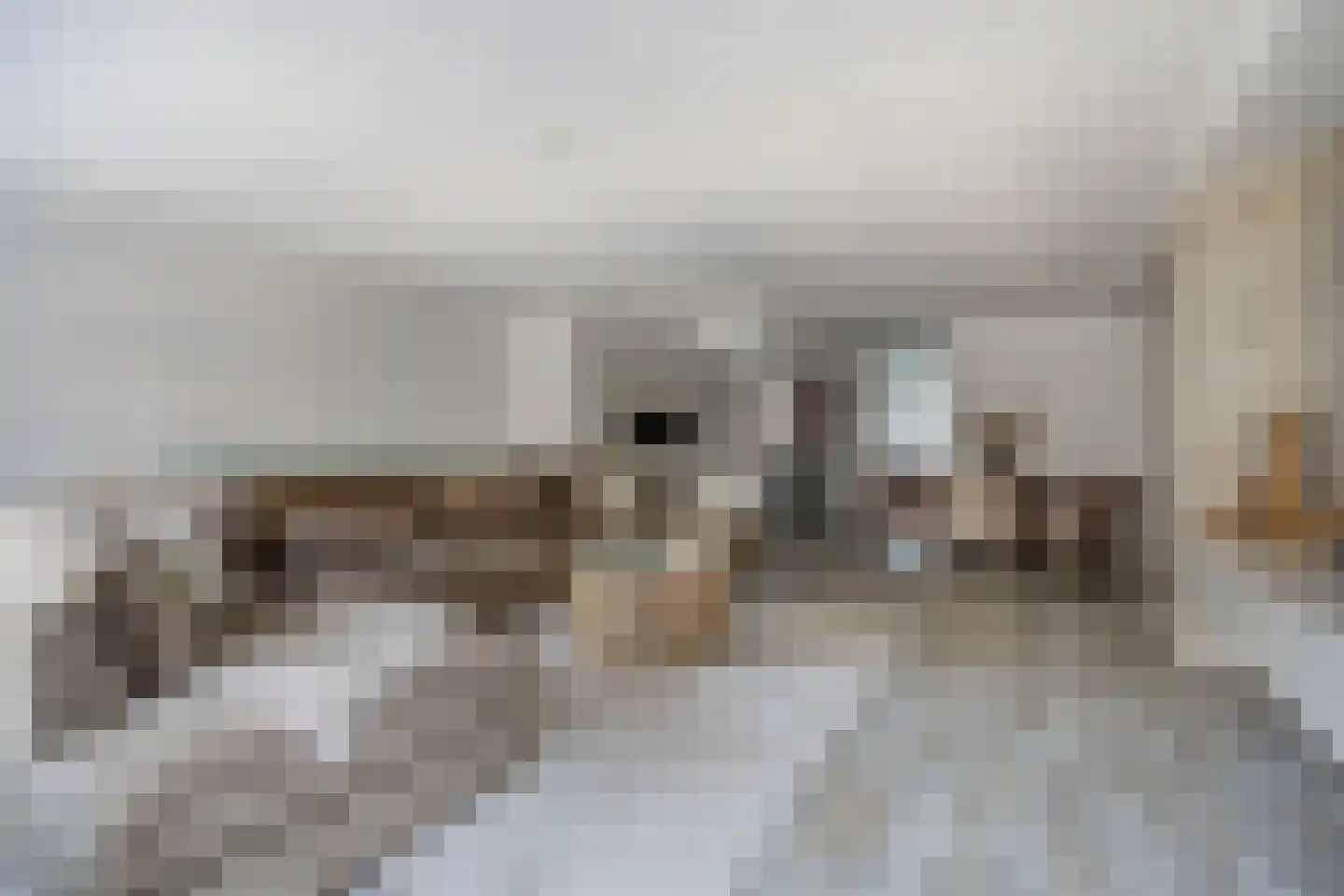 Hof van den Houte 131 Etten-Leur thumbnail 12