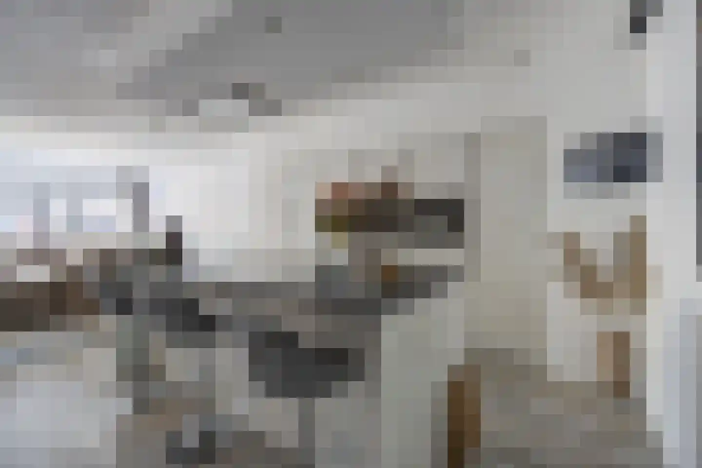 Hof van den Houte 131 Etten-Leur thumbnail 14