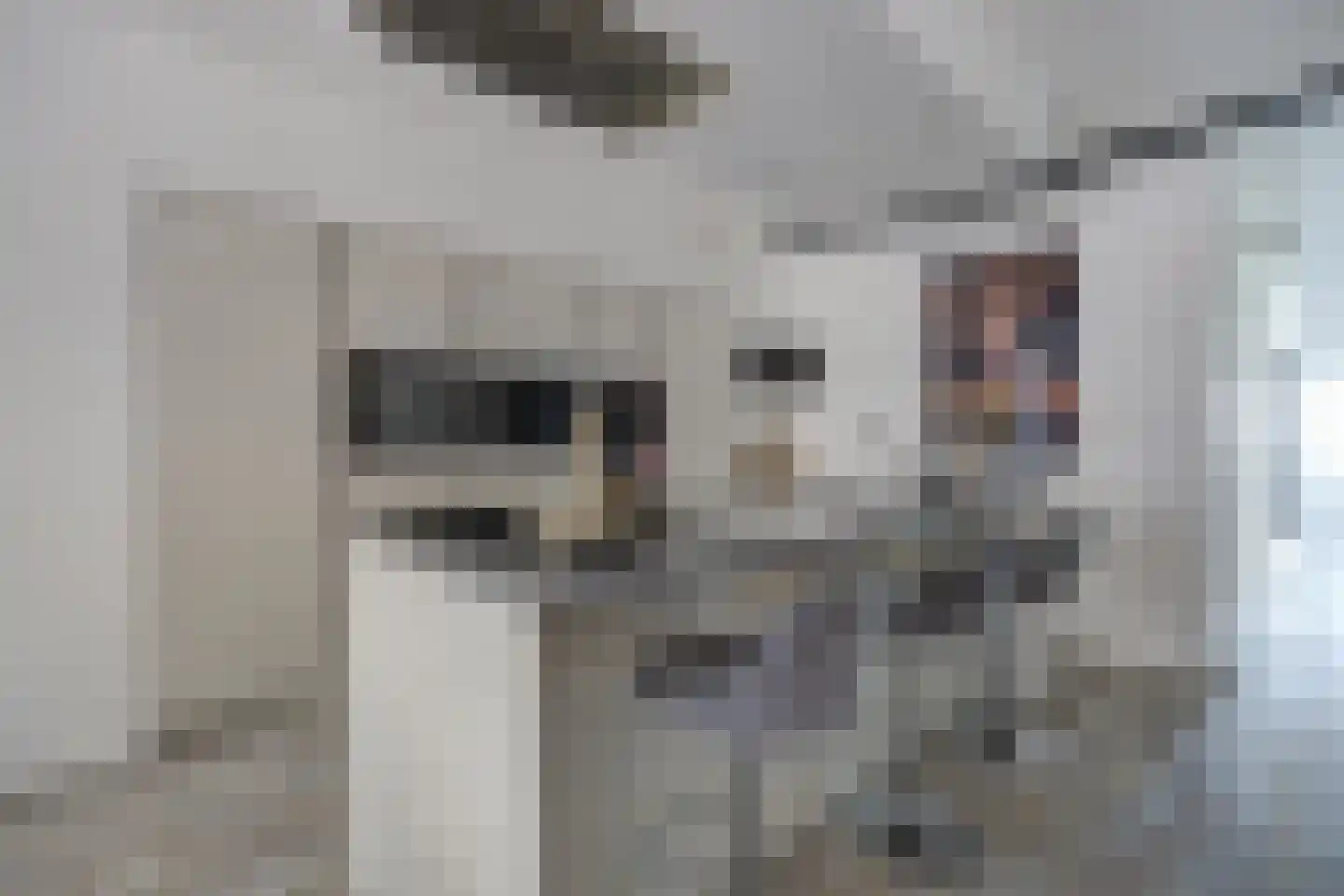 Hof van den Houte 131 Etten-Leur thumbnail 20