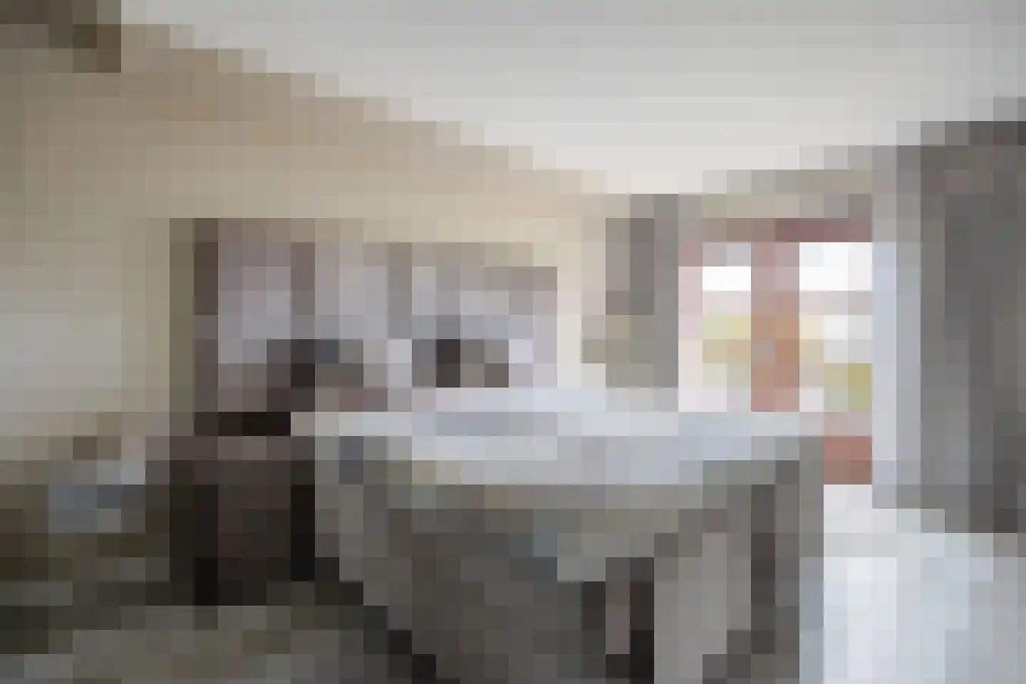 Hof van den Houte 131 Etten-Leur thumbnail 23