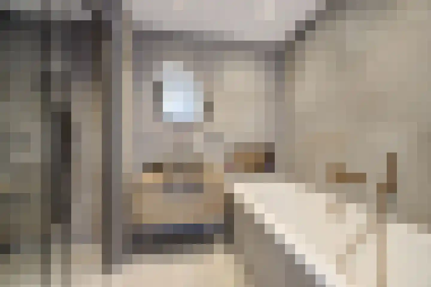 Hof van den Houte 131 Etten-Leur thumbnail 27