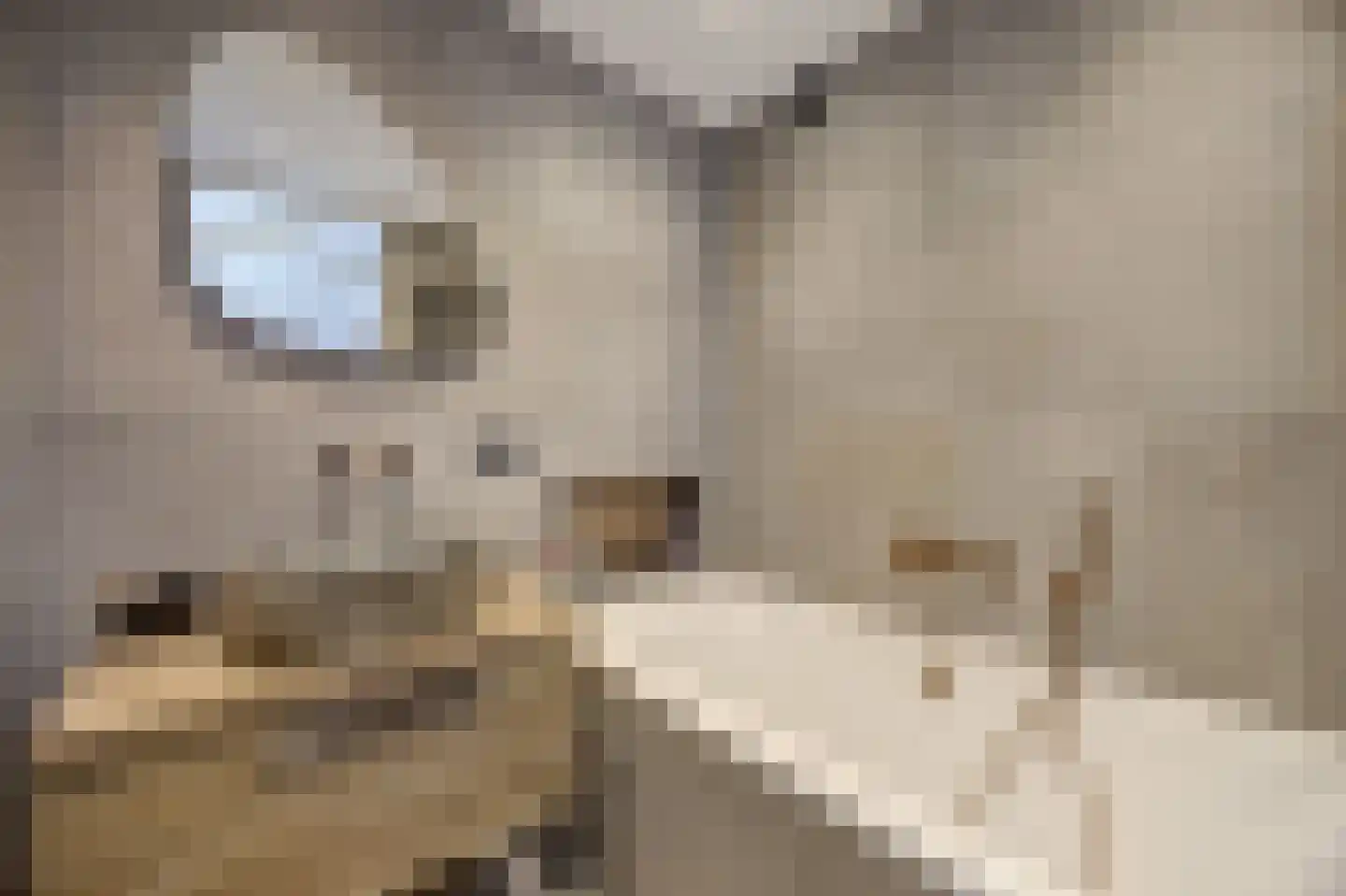 Hof van den Houte 131 Etten-Leur thumbnail 28