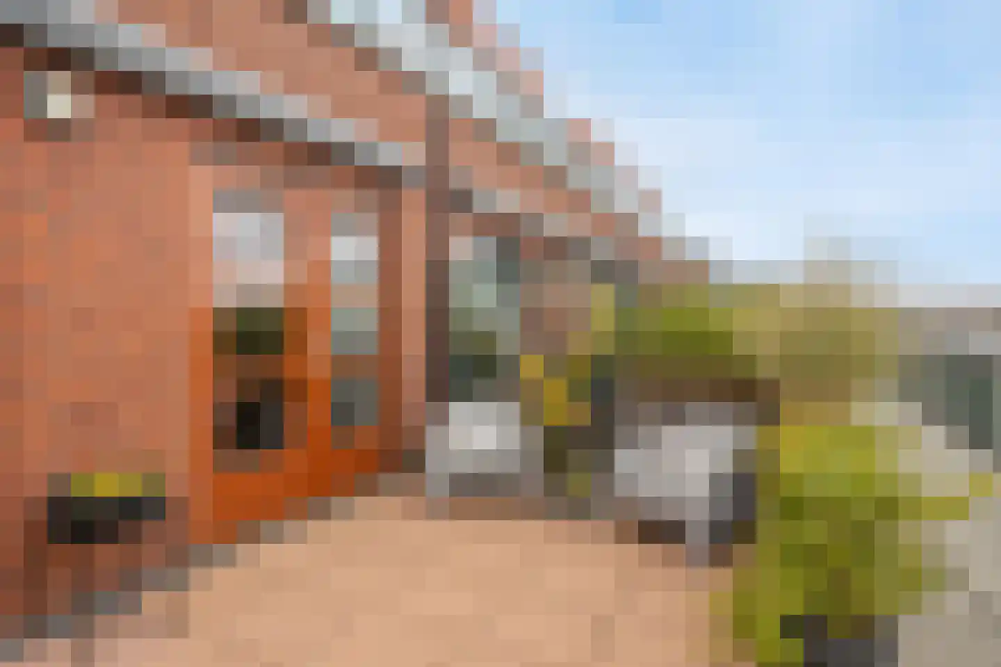Hof van den Houte 131 Etten-Leur thumbnail 42