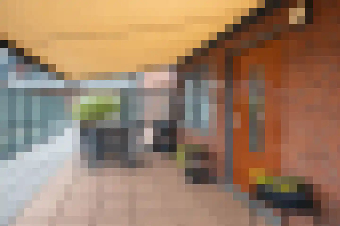 Hof van den Houte 131 Etten-Leur thumbnail 47