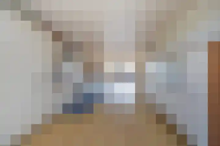 Hof van den Houte 142 Etten-Leur thumbnail 15