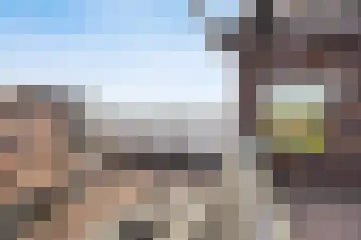 Hof van den Houte 142 Etten-Leur thumbnail 30